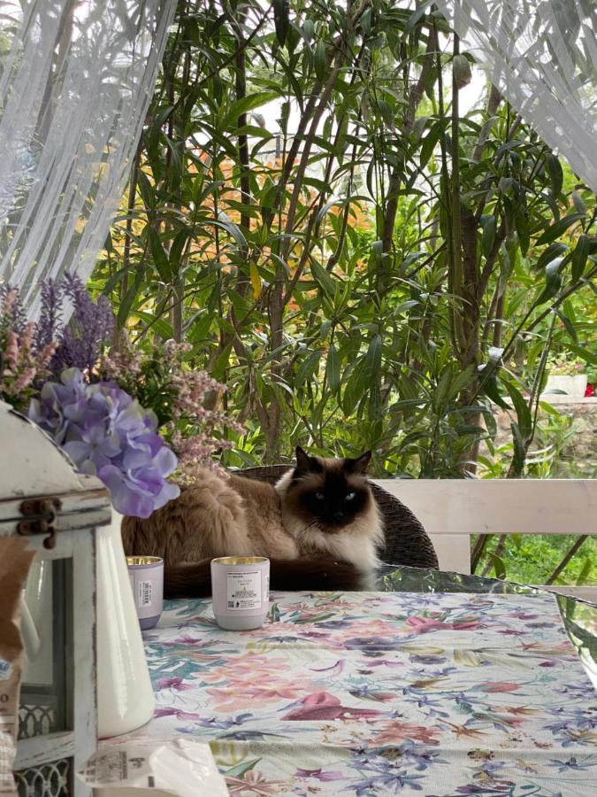 B&B La Terrazza 波佐兰格 外观 照片